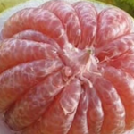 sehat, kesehatan, buah jeruk bali, manfaat buah jeruk bali, khasiat buah jeruk bali, antioksidan, buah-buahan, buah jeruk bali, jus buah jeruk bali, buah rendah gula